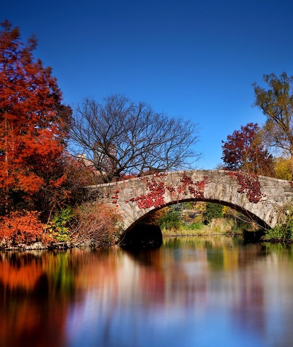 Seasonal weather in Central Park, Manhattan, New York, USA - 17 Nov 2016 Seasonal weather in Central Park, Manhattan, New York, USA - 17 Nov 2016