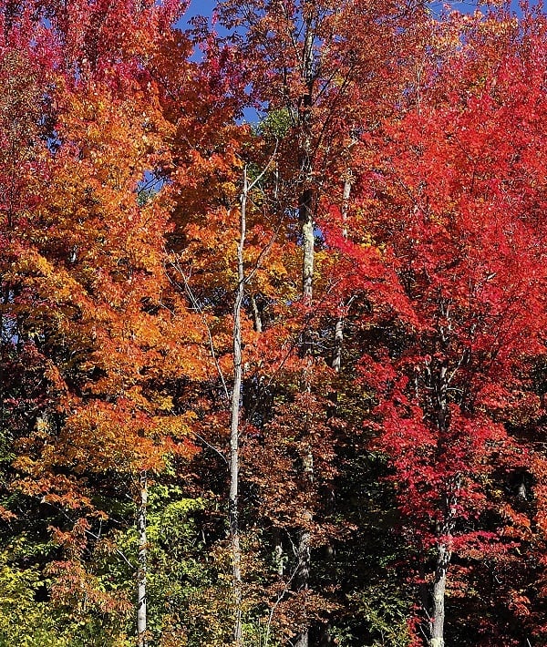 Usa Weather Fall Foliage - Oct 2015 Usa Weather Fall Foliage - Oct 2015