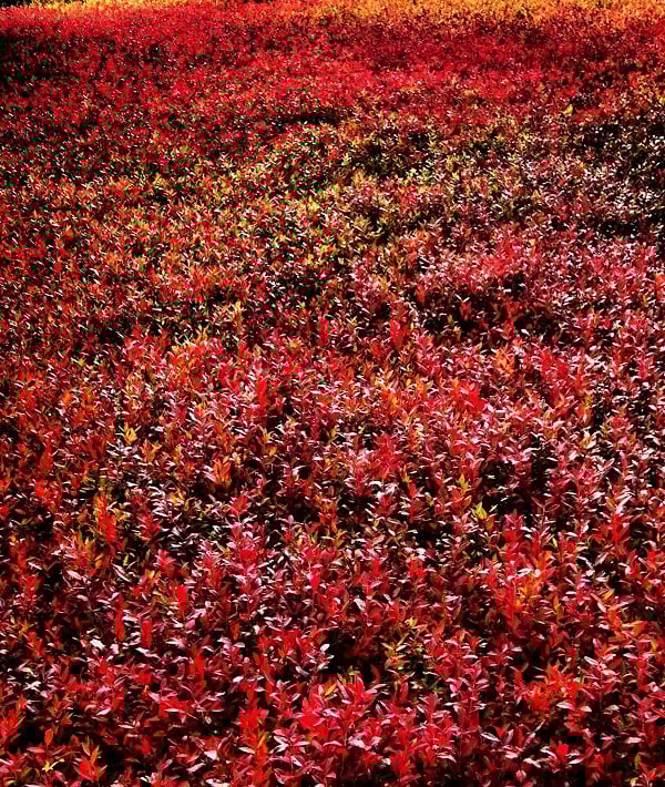 Travel Foliage Fitness - 28 Oct 2013 Travel Foliage Fitness - 28 Oct 2013