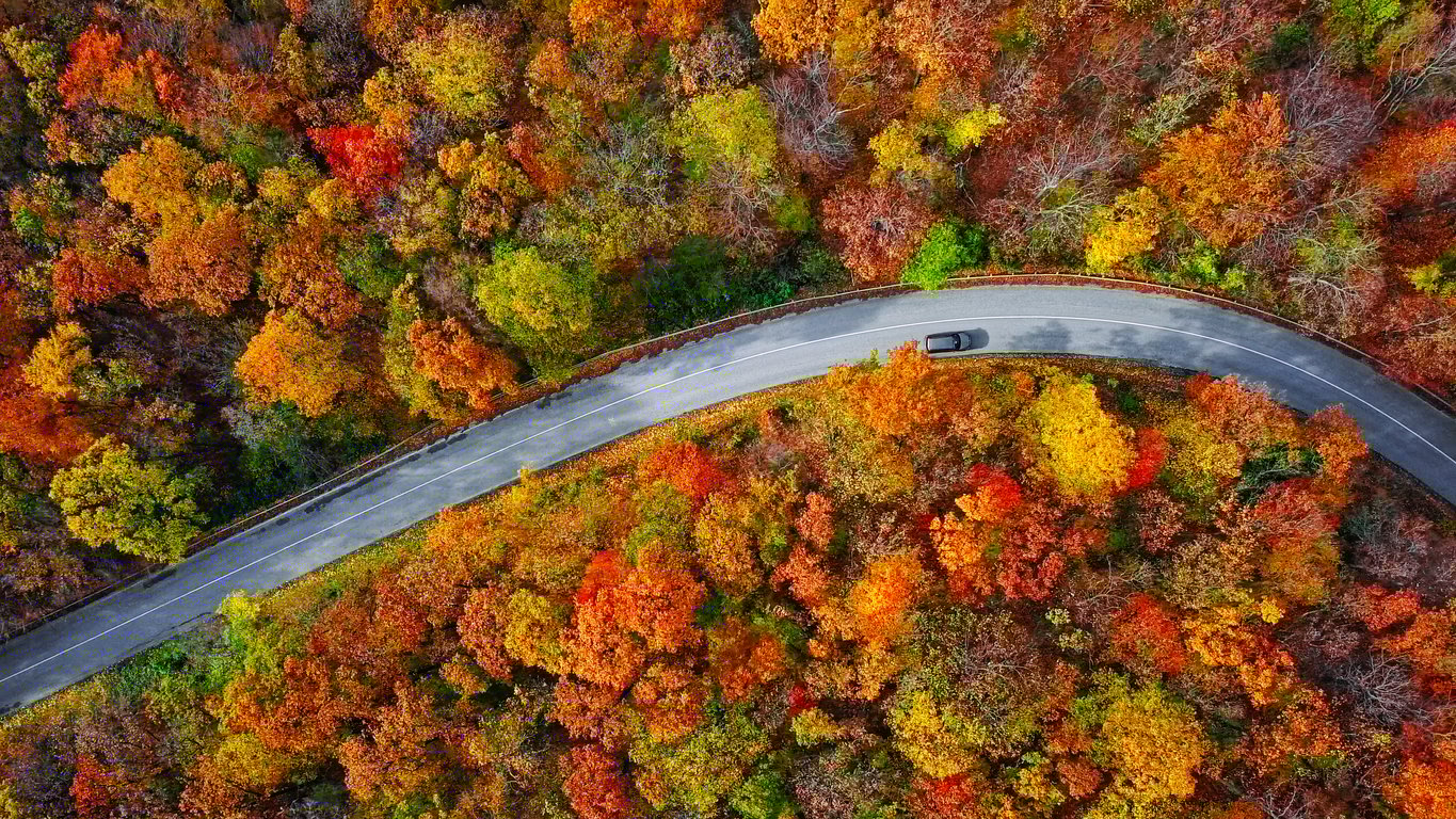 Overhead aerial view of winding mountain road inside colorful autumn forest Overhead aerial view of winding mountain road inside colorful autumn forest