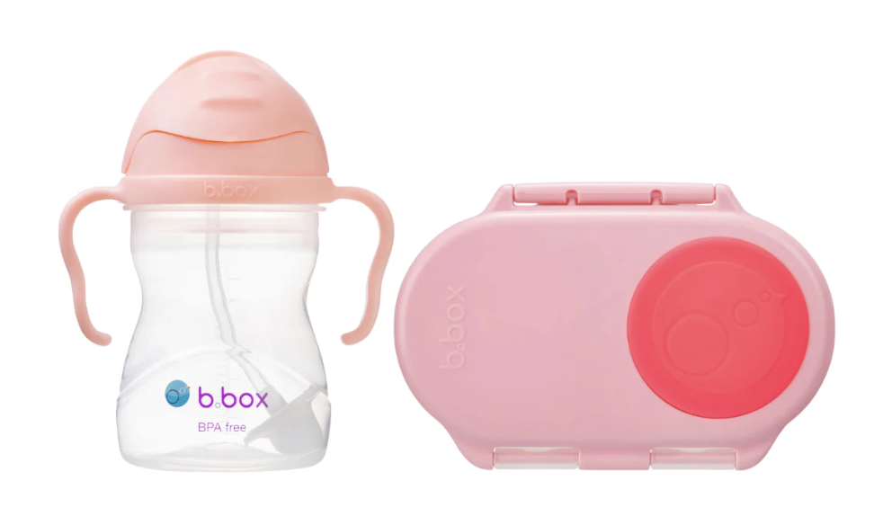 Screenshot 2025-03-28 at 4.57.35 PM sippy cup tutti frutti + snackbox flamingo fizz